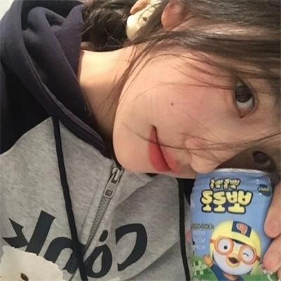 来自收容所的爱